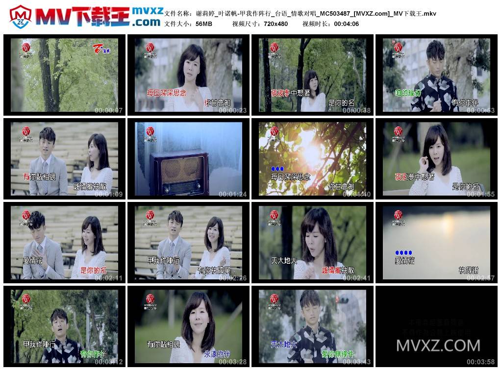 谢莉婷_叶诺帆-甲我作阵行_台语_情歌对唱_MC503487